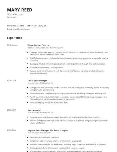 Global Account Director Resume