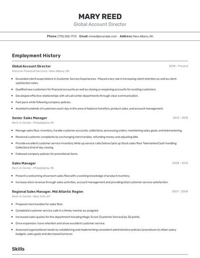 Global Account Director Resume