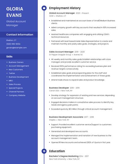 Global Account Manager Resume