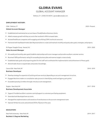 Global Account Manager Resume