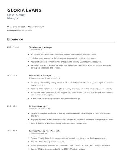 Global Account Manager Resume