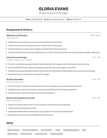 Global Account Manager Resume