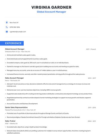 Global Account Manager Resume