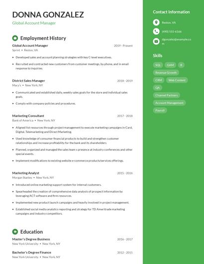 Global Account Manager Resume