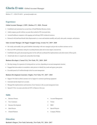 Global Account Manager Resume