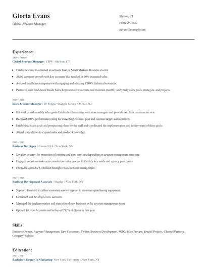 Global Account Manager Resume