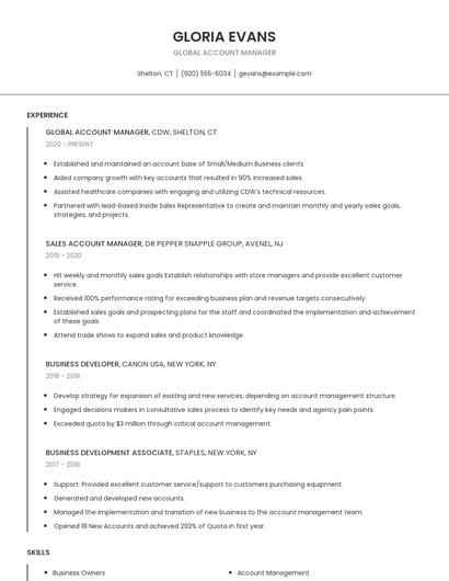 Global Account Manager Resume