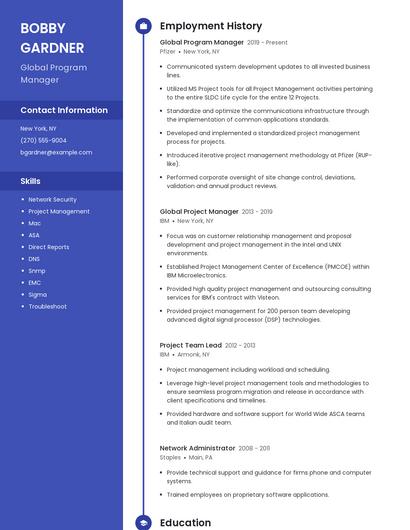 Global Program Manager Resume