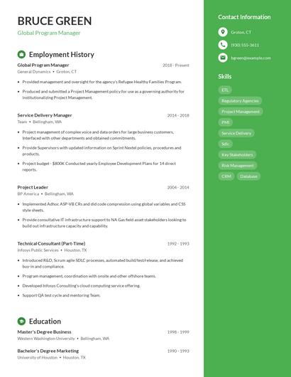 Global Program Manager Resume