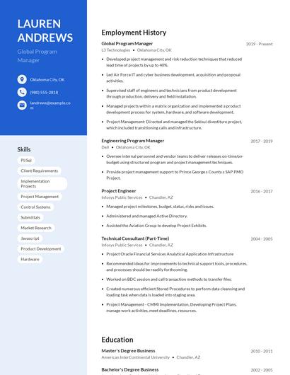 Global Program Manager Resume