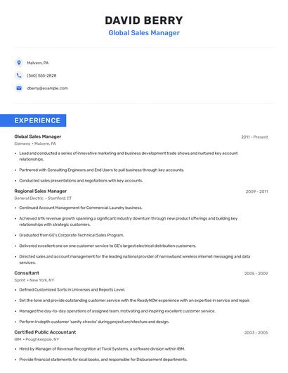 Global Sales Manager Resume