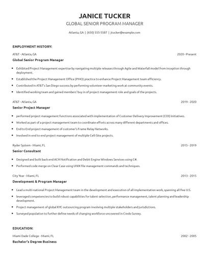 Global Senior Program Manager Resume
