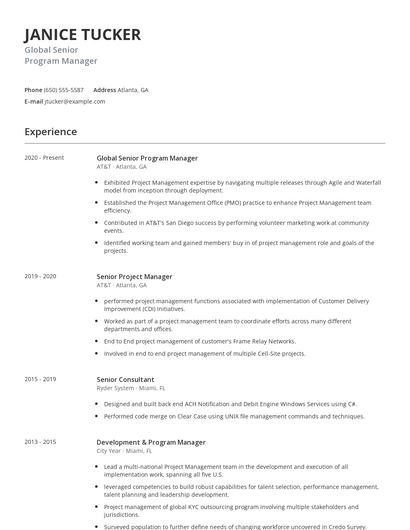 Global Senior Program Manager Resume