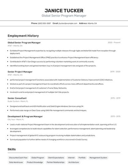 Global Senior Program Manager Resume