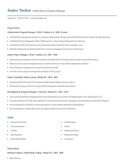 Global Senior Program Manager Resume