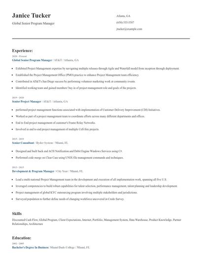Global Senior Program Manager Resume