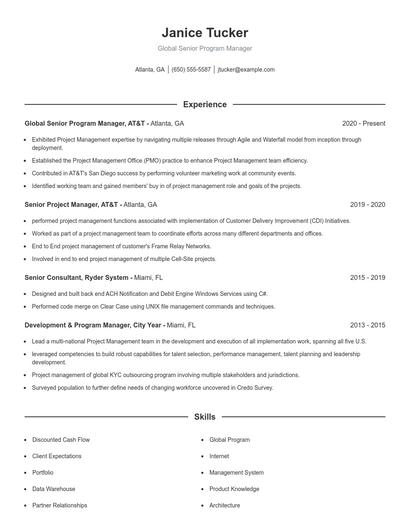 Global Senior Program Manager Resume