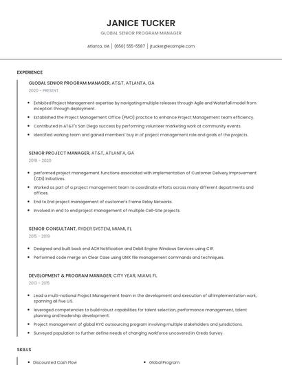 Global Senior Program Manager Resume