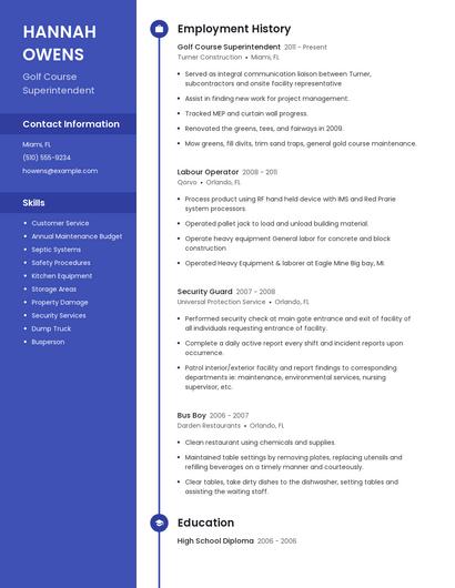 Resume example 4