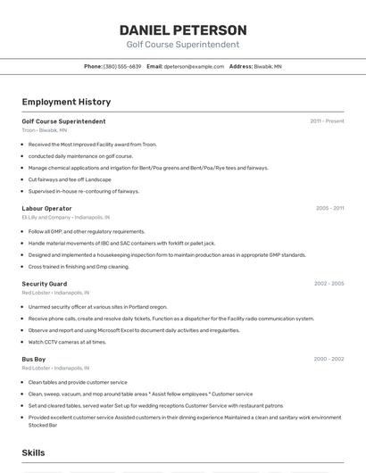 Resume example 2