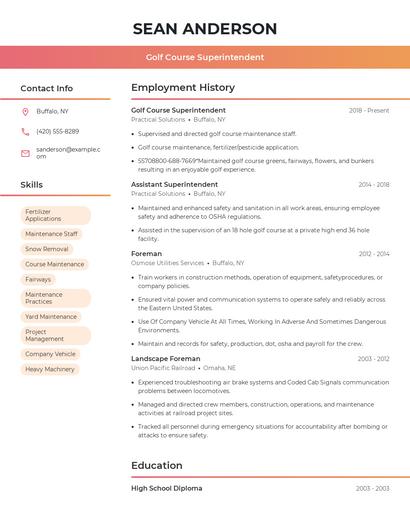 Resume example 3