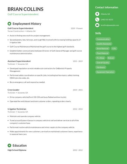 Resume example 5