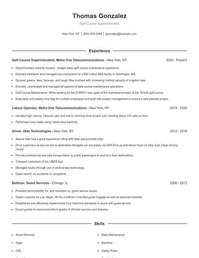 Resume example 1