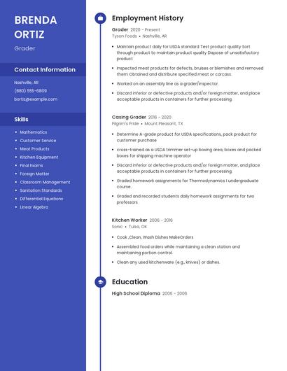Resume example 4