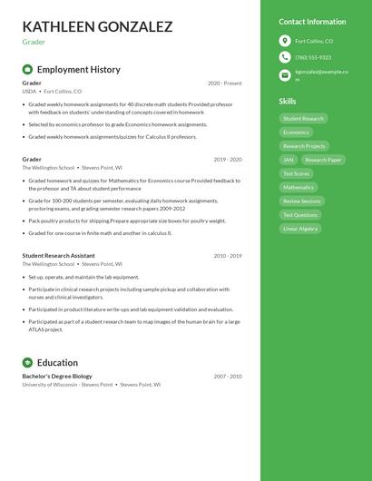 Resume example 5