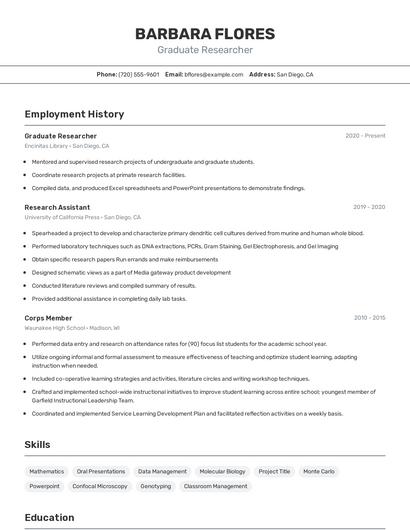 Resume example 2