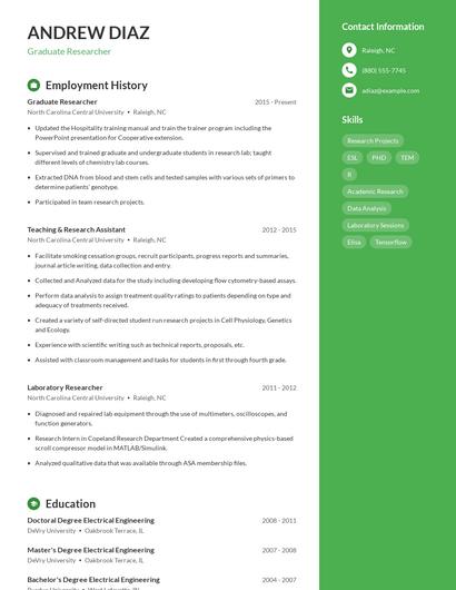 Resume example 4