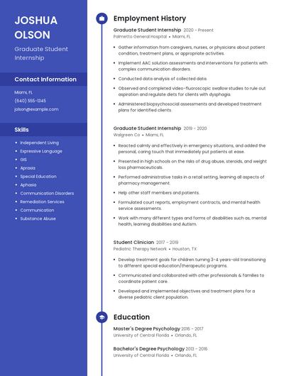 Resume example 4