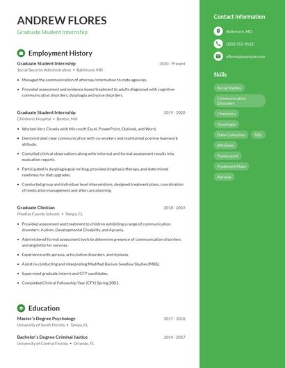 Resume example 5