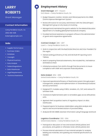 Resume example 5