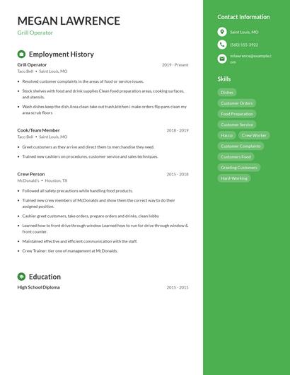 Resume example 4