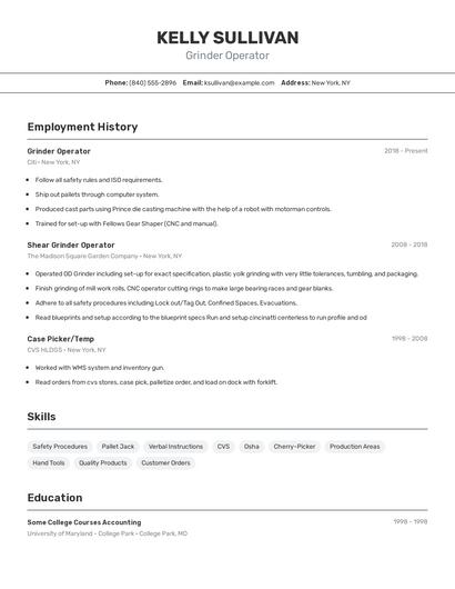 Resume example 2