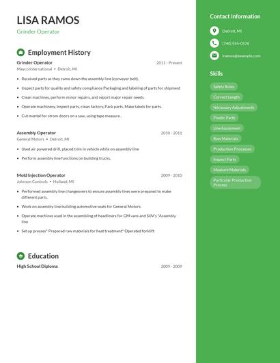 Resume example 5