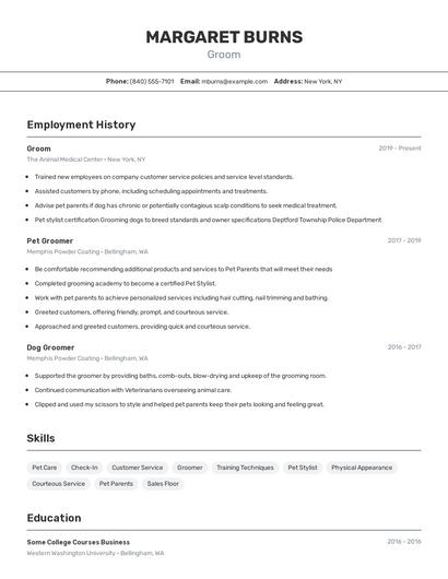 Resume example 2