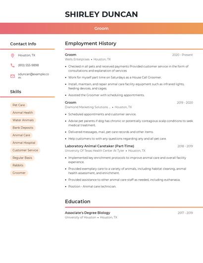 Resume example 3