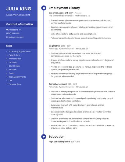 Resume example 4