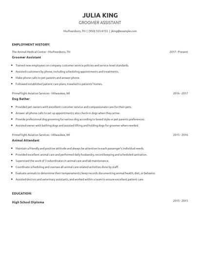 Groomer Assistant Resume