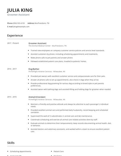 Groomer Assistant Resume