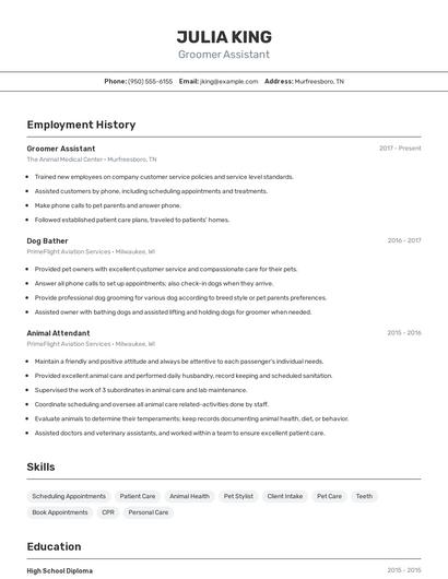 Resume example 2