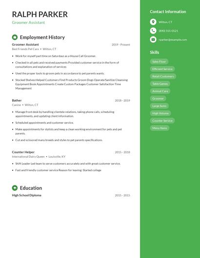Resume example 5
