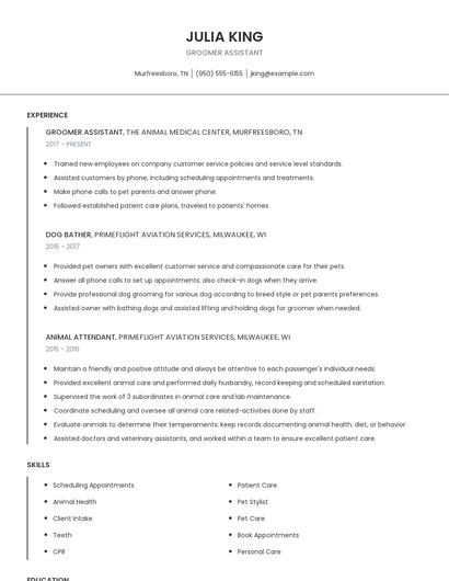 Groomer Assistant Resume