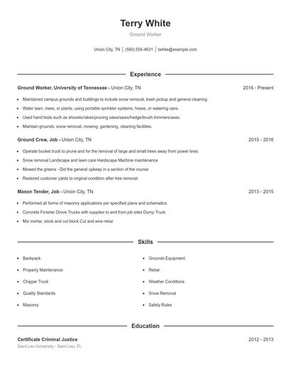 Resume example 1