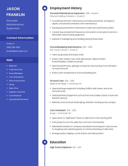 Resume example 5