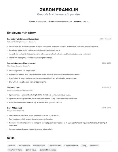 Resume example 2