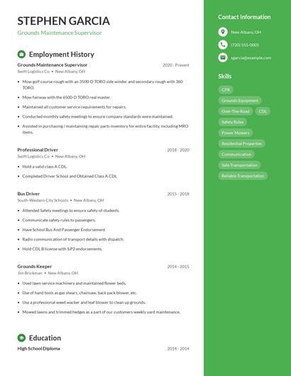 Resume example 4