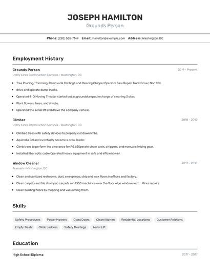 Resume example 2